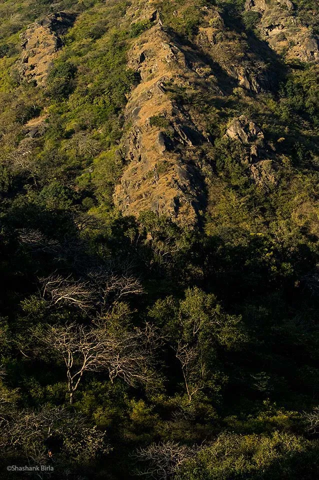 The lower reaches have patches of evergreen forest, thorn and bamboo. The rocky upper reaches seemed to constitute ideal habitat for sloth bears.
