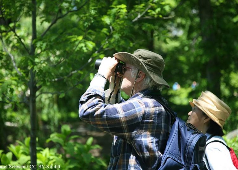 Bird-watching-binoculars
